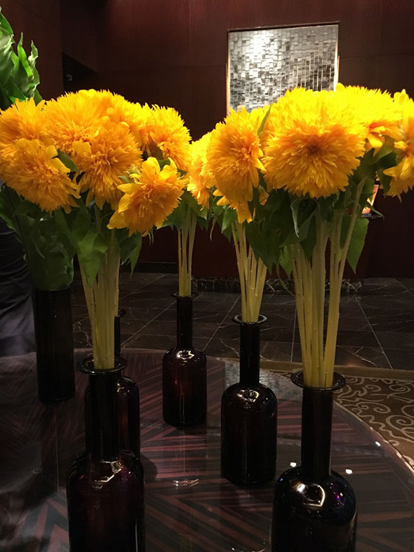 tuj diamond dinner 2017