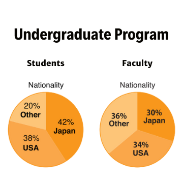 Undergraduate Program