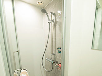 Private bathroom with shower
