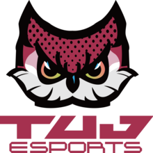 TUJ Esports Team Logo