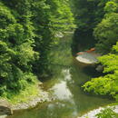 A picture of the Okutama area