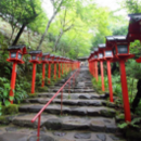 Kibune to Kurama Hike & Onsen