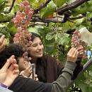 Students on the winery tour looking at grapes