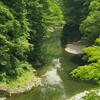 A picture of the Okutama area
