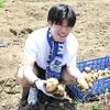 A smiling young man picking potatoes fresh from the ground