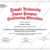 Professional Training Certificate sample image