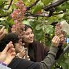 Students on the winery tour looking at grapes