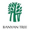 banyan tree 02