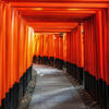 The Senbon Torii (Thousands of Torii Gates) at Fushimi Inari Taisha, Kyoto