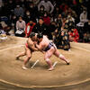 Sumo wrestlers in the Sumo ring