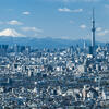A view looking down over the city of Tokyo