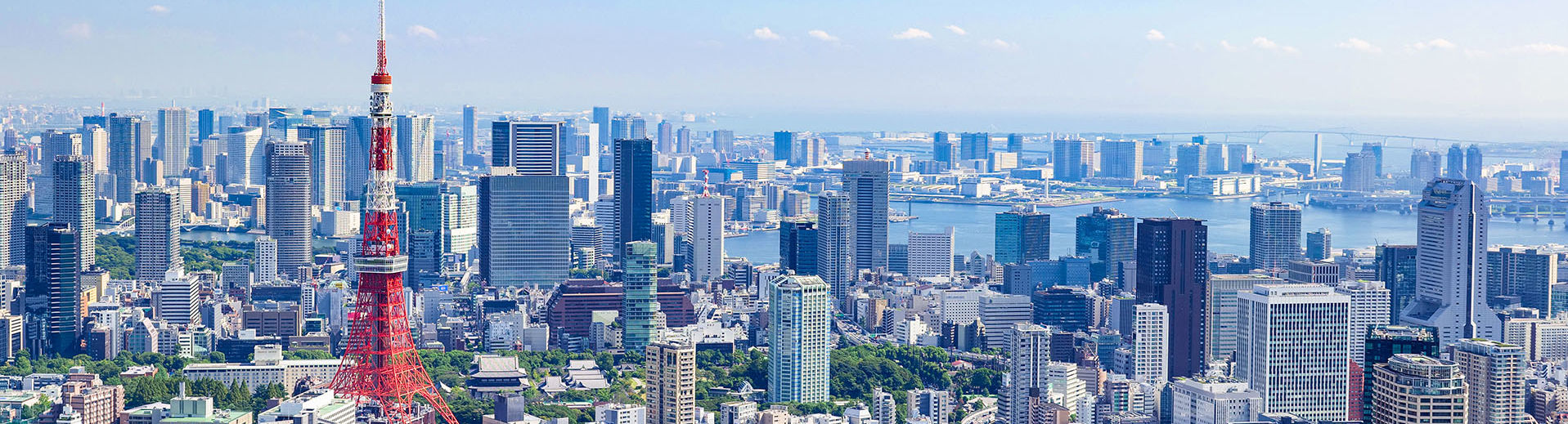 The skyline of the Tokyo with Tokyo Tower