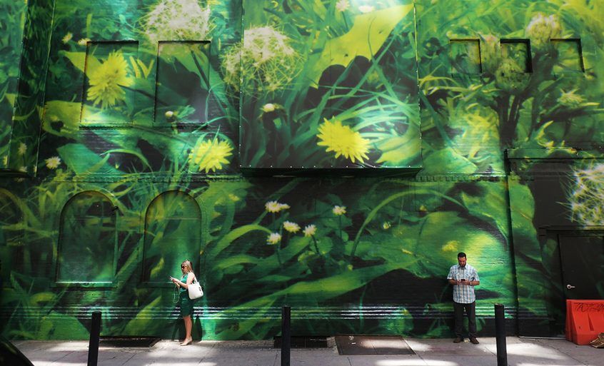 Scenery of the city, a large mural with dandelions.
