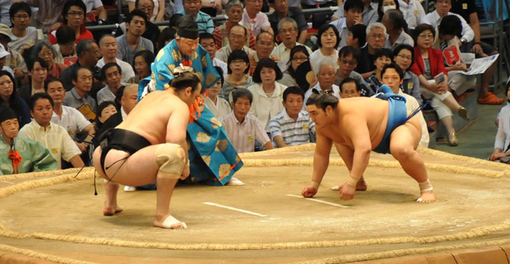 The Structure of Sumo Wrestling