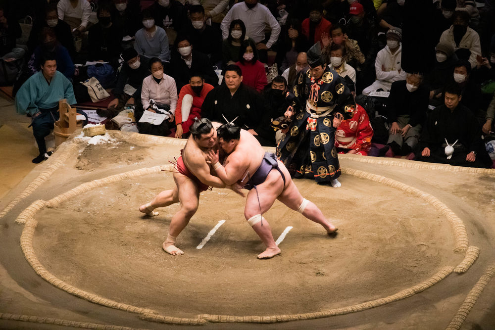 The Structure of Sumo Wrestling