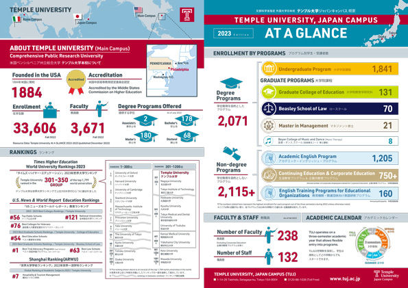 At a glance 2023 thumbnail