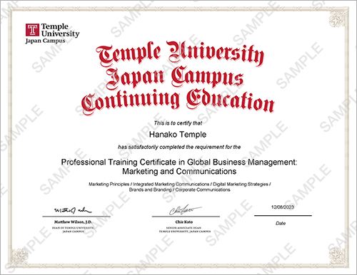 Professional Training Certificate sample image
