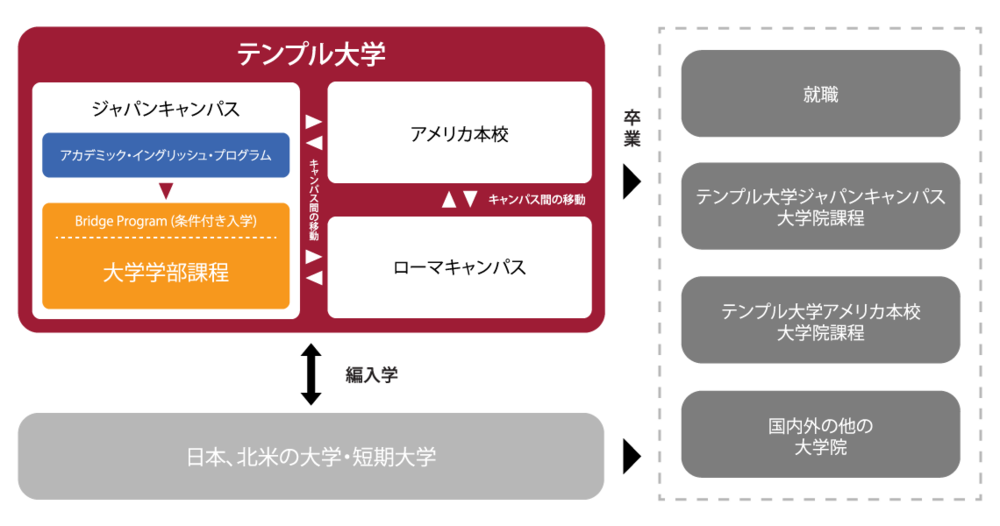Image icon chart-transfer-diagram