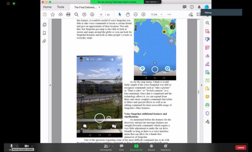 Screenshot of a PDF document for a product pitch #2